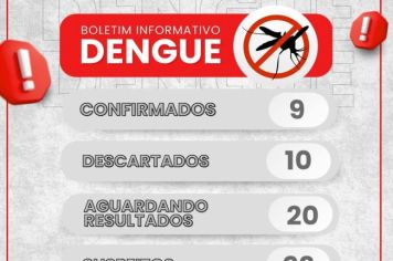 Boletim Informativo da DENGUE