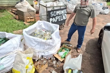 Meio Ambiente Realiza Destinação Correta de Vidros para Reciclagem