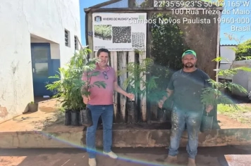 Meio Ambiente realiza entrega de mudas para arborização urbana