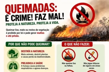 Queimadas: Diga Não ao Fogo!