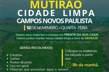 Mutirão de Limpeza contra a Dengue!