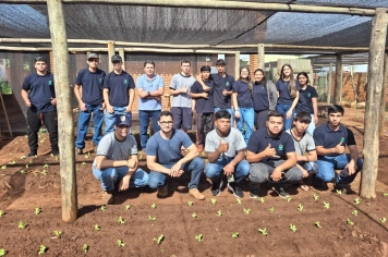 Horta Urbana fortalece educação e sustentabilidade em Campos Novos Paulista