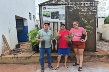 Meio Ambiente Realiza Entrega de Mudas para Arborização Urbana