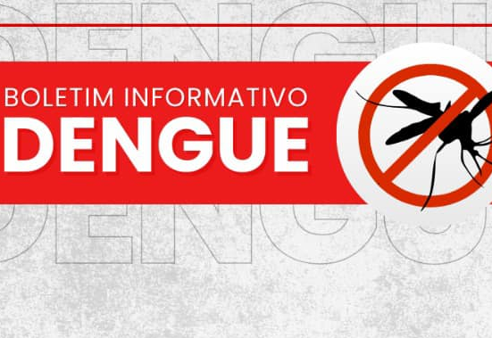 Alerta de Saúde: Atualizações Semanais sobre a DENGUE