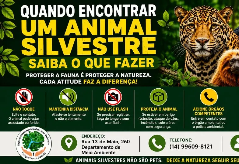 Quando Encontrar um Animal Silvestre