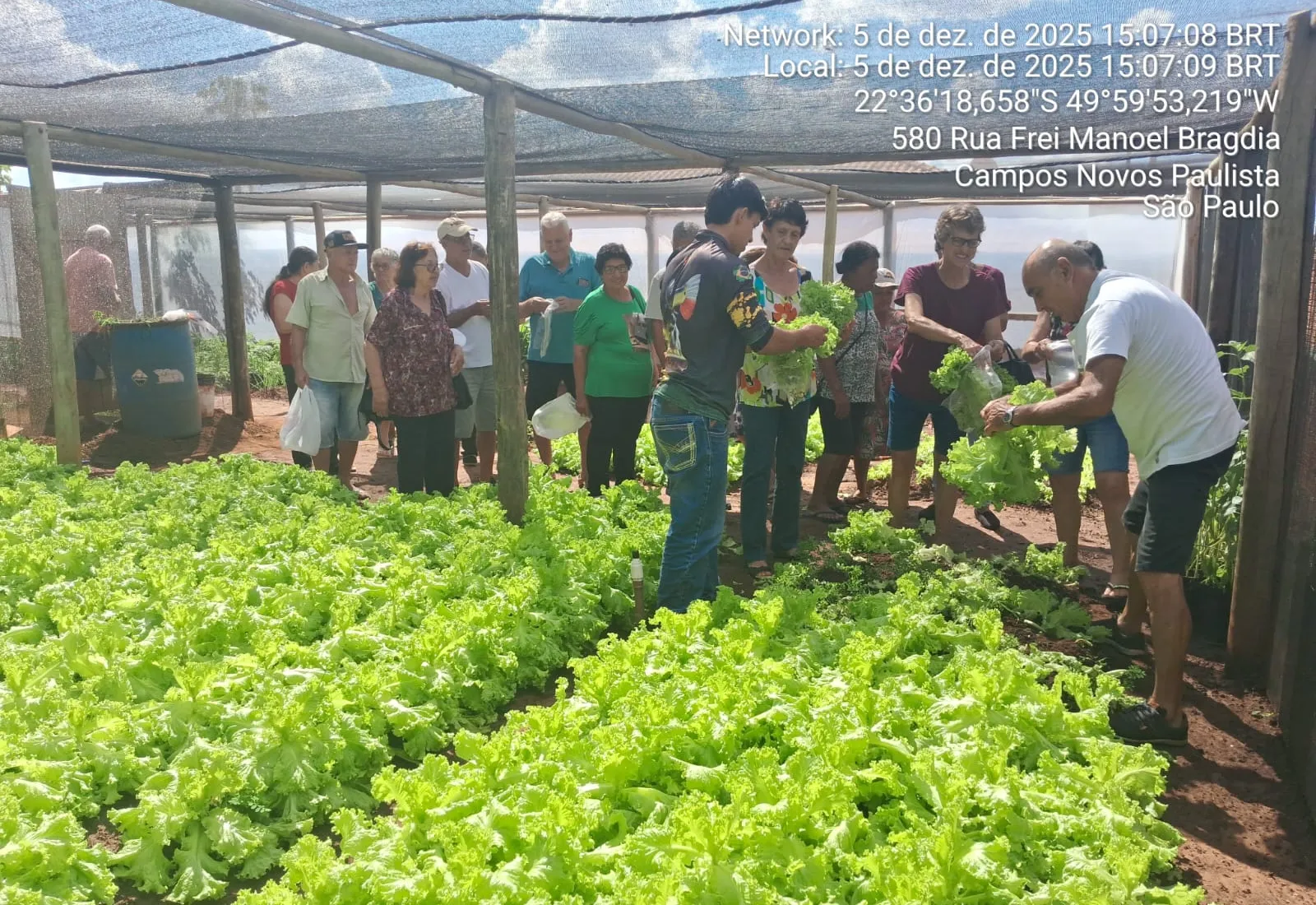 Horta Urbana beneficia grupo da melhor idade com doação de alimentos