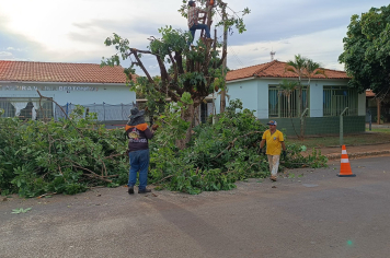 Limpeza Urbana em Ação