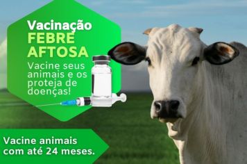 Vacinação Febre Aftosa