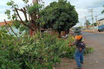 Coleta de Resíduos Verdes em Ação!