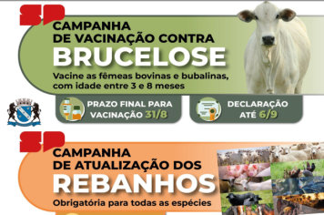 Campanha de Vacinação contra Brucelose 