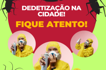 Dedetização anual contra insetos e a dengue. 