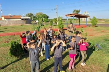 DEPARTAMENTO MUNICIPAL DE MEIO AMBIENTE