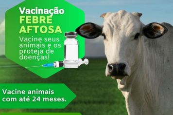 Vacinação Febre Aftosa