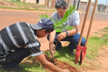 Departamento Municipal de Meio Ambiente realiza plantio de arborização urbana em vias públicas