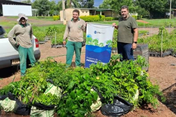 Departamento de Meio Ambiente promove reflorestamento com entrega de mudas nativas a produtores rurais
