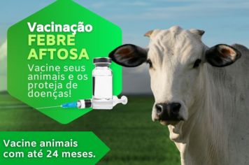 Vacinação da - FEBRE AFTOSA