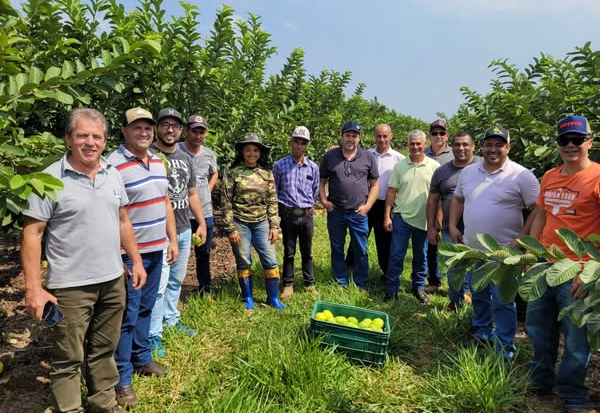 Prefeitura de Campos Novos Paulista promove visita técnica à plantação de goiaba em Carlópolis/PR