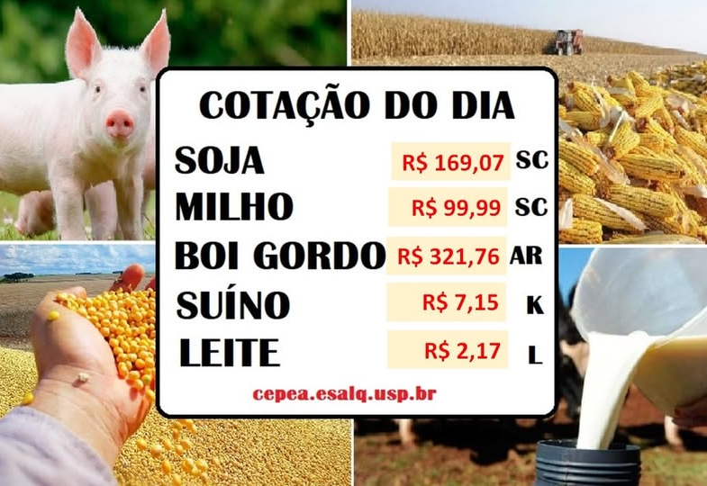 Cotação Atual dos Principais Produtos do Agronegócio