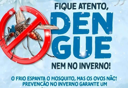 Mesmo no Frio, a Dengue Não Dá Trégua!