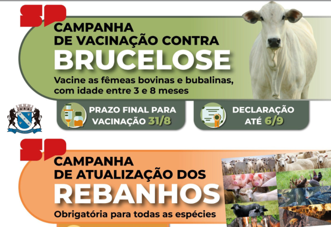 Campanha de Vacinação contra Brucelose 