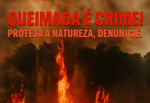 QUEIMADA É CRIME!