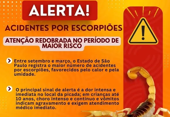 Cuidado redobrado com escorpiões!