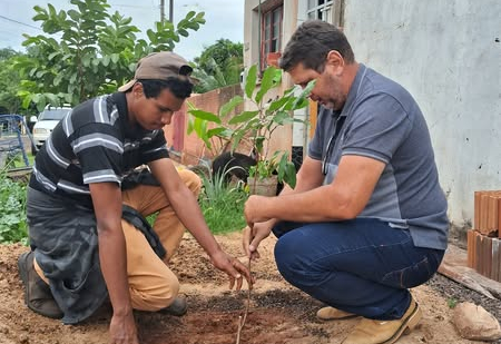 Plantio de Árvores nas Calçadas Contribui para a Qualidade Ambiental Urbana