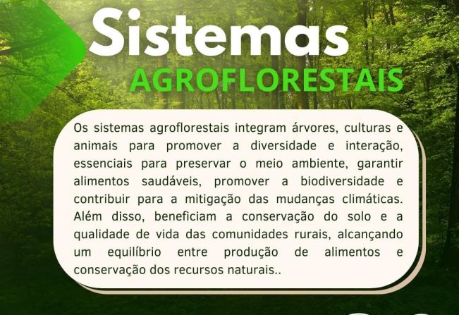 Sistema Agroflorestais 