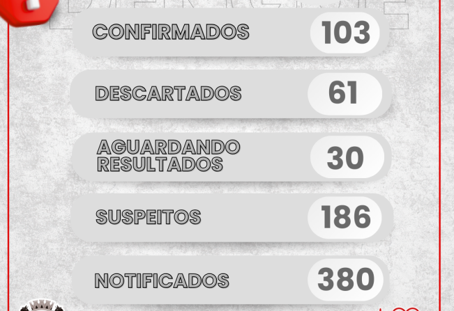 Boletim Informativo - DENGUE