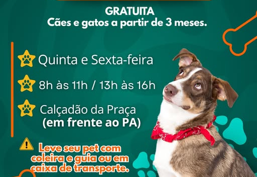 Vacinação Contra a Raiva