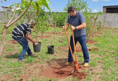Manutenção e Ampliação do Pomar Urbano Reforçam Compromisso com o Meio Ambiente