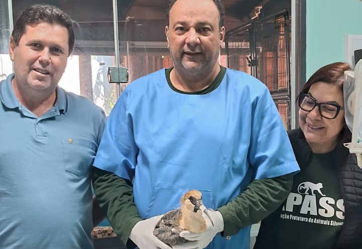 Meio Ambiente de Campos Novos Paulista realiza entrega de ave silvestre ferida à APASS