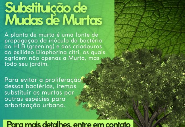 Substituição de Mudas de Murta