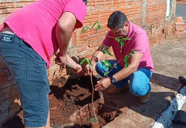 DEPARTAMENTO MUNICIPAL DE MEIO AMBIENTE