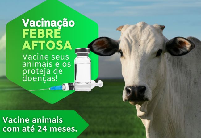 Vacinação da - FEBRE AFTOSA